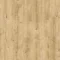 Galway Oak 87372