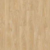 Laurel Oak 51282