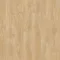 Laurel Oak 51282