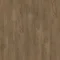 Laurel Oak 51864