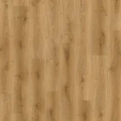 Traditional Oak 01832