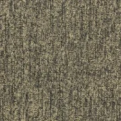 Blaze W2W 270