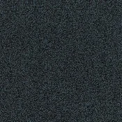 e-firm 97