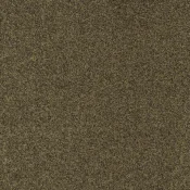 Wykładzina dywanowa w rolce ITC arc edition Gleam W2W Gleam W2W 212