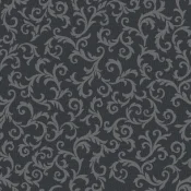 PM Mozart 297