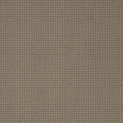 PM Schubert 143