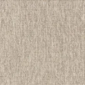 Robinia 6300 68