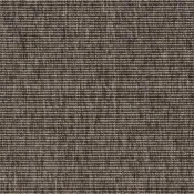 Robinia 6300 80