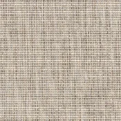 Salix 6302 68