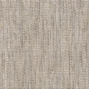 Salix 6302 78