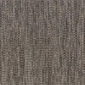 Salix 6302 80