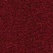Mata wejściowa Forbo Coral Bright 2603