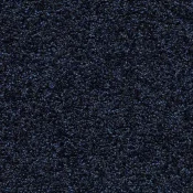 Mata wejściowa Forbo Coral Luxe 2917