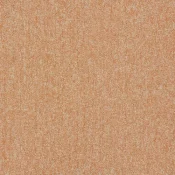 1267246 Cantaloupe