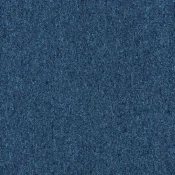 1267259 Blue Moon