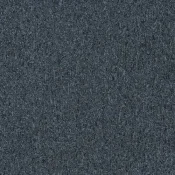 1267260 Blueberry