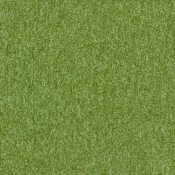 1267270 Pear