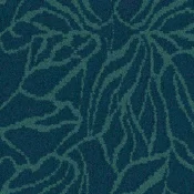 2377005 Aqua