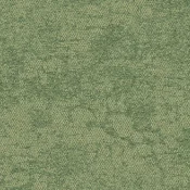 2525001 Desert Shrub