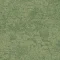 2525001 Desert Shrub