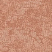 2525002 Desert Sands