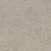 2525003 Desert Neutral
