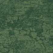 2525008 Rainforest Canopy