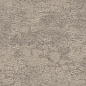 2525009 Rainforest Neutral