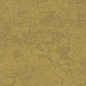 2525013 Spinifex Grass