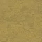 2525013 Spinifex Grass