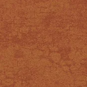 2525014 Spinifex Dirt