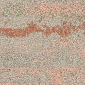 2526001 Desert