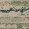 2526003 Rainforest