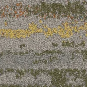 2526005 Spinifex