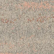 2527001 Desert