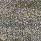 2527005 Spinifex