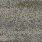 2527005 Spinifex