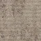 2529005 Rainforest Neutral
