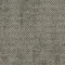 2529010 Spinifex Grass