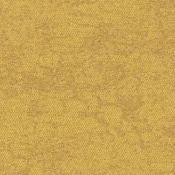 2525007 Rainforest Floor