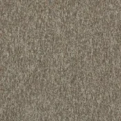 4117003 Oak