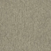 4117005 Chameleon