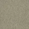 4117005 Chameleon