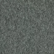 4117007 Ash
