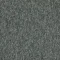 4117007 Ash