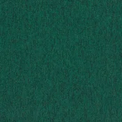 4117018 Palm