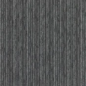 4159018 Fossil
