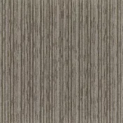 4159021 Biscuit
