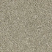 4174062 Biscuit