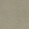 4174062 Biscuit